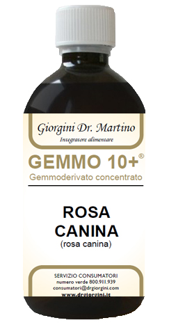 GEMMO 10+ ROSA CANINA LIQUIDO ANALCOLICO 500 ML – Farmaciainrete